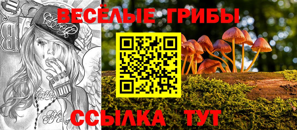 Галлюциногенные грибы Psilocybine cubensis  закладка  Батайск  Вход с VPN 
